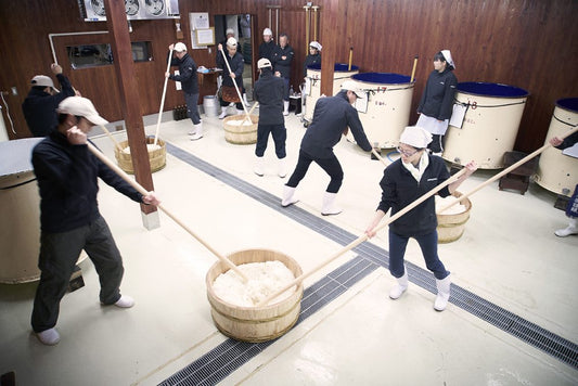 The Kimoto Brewing Process: Preserving Tradition in Sake Production