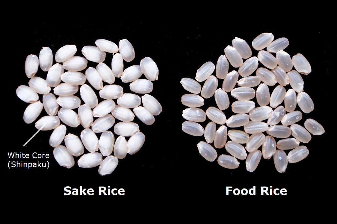 Sake Rice: A Deep Dive into the Heart of Japan's Beloved Beverage